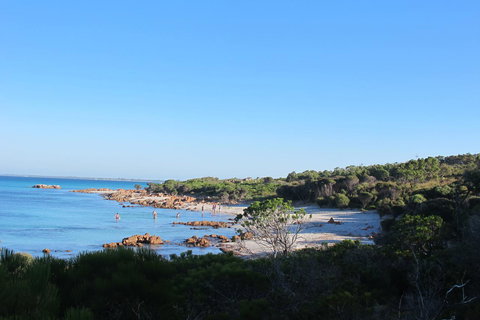 17 By The Sea - New Castle Holiday 15