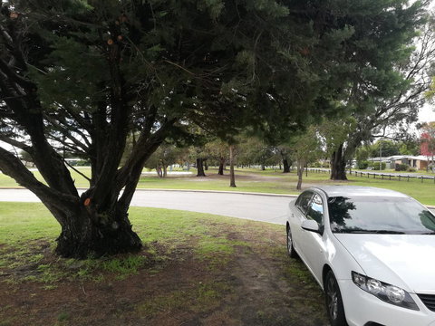 Affordable Inn - New Castle Holiday 25