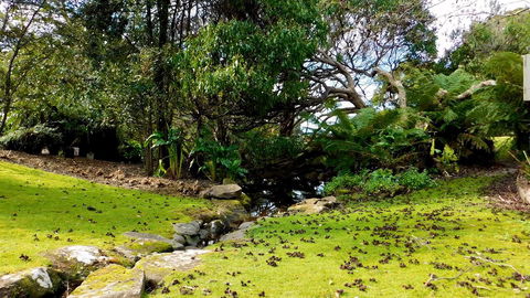 43 Degrees Bruny Island - New Castle Holiday 8