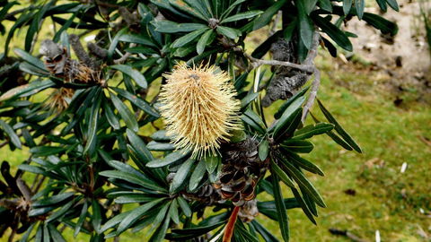 43 Degrees Bruny Island - New Castle Holiday 11