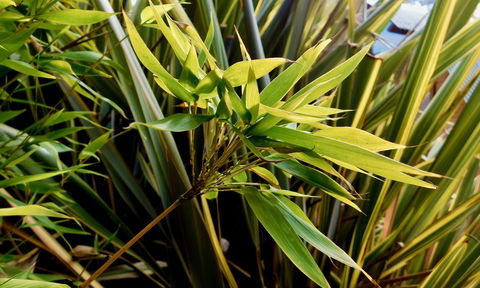 43 Degrees Bruny Island - New Castle Holiday 10