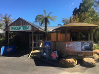 Book Tullah Accommodation Vacations New Castle Holiday New Castle Holiday