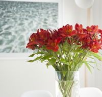 On The Beach Waterfront Apartment - New Castle Holiday