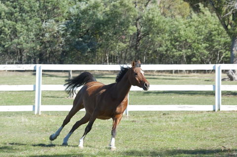 Country Club Villas - New Castle Holiday 19