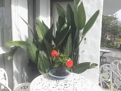 Million Dollar Views - New Castle Holiday 30