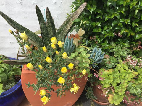 Million Dollar Views - New Castle Holiday 6