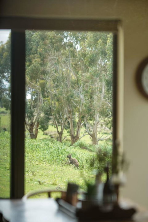 Adventure Bay Retreat Bruny Island - New Castle Holiday 7