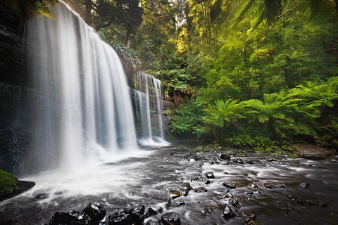 Tyenna River Cottages - New Castle Holiday 6