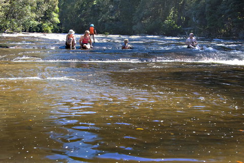 Tyenna River Cottages - New Castle Holiday 9