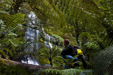 Tyenna River Cottages - New Castle Holiday 3