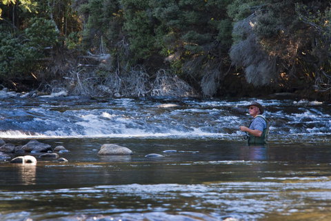 Tyenna River Cottages - New Castle Holiday 21