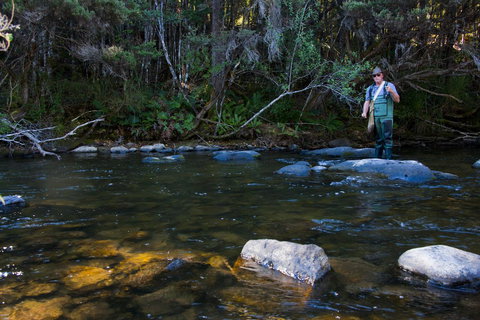 Tyenna River Cottages - New Castle Holiday 2