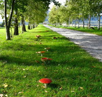 Plovers Ridge Country Retreat - New Castle Holiday