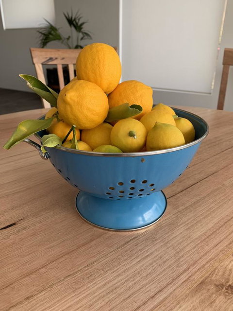 Anchorage Tasmania - New Castle Holiday 21