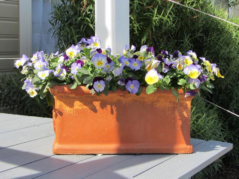 Elm Trees Accommodation @ Ross - New Castle Holiday 27