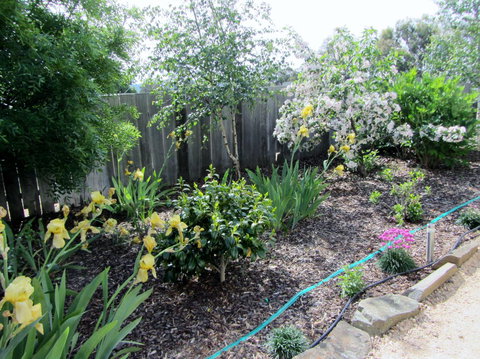 Elm Trees Accommodation @ Ross - New Castle Holiday 6