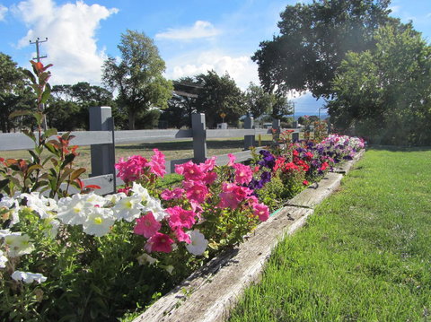 Elm Trees Accommodation @ Ross - New Castle Holiday 24