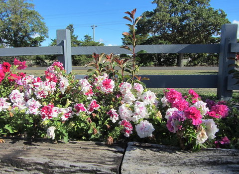 Elm Trees Accommodation @ Ross - New Castle Holiday 25