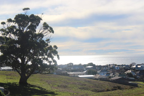 Hilltop Ocean Views å±±é¡¶æµ·æ™¯ - New Castle Holiday 22