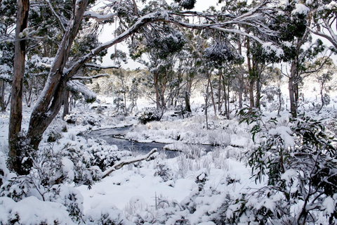 Cradle Mountain Love Shack - New Castle Holiday 11
