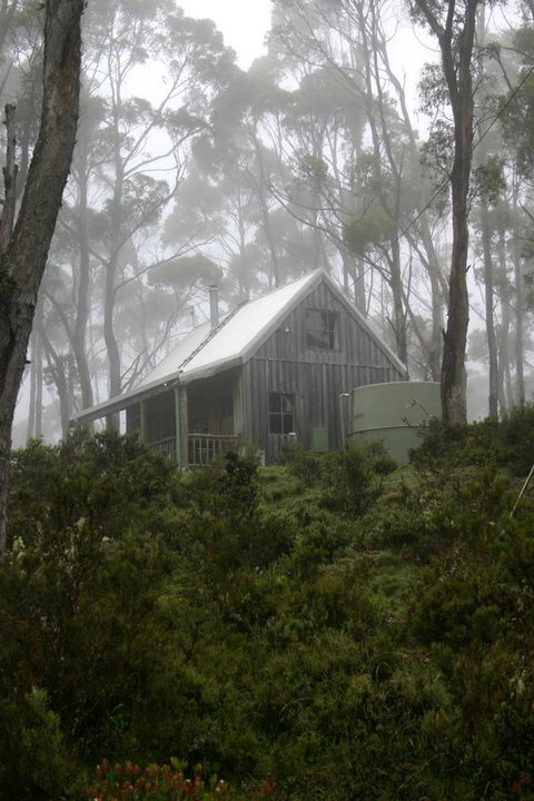 Cradle Mountain Love Shack - New Castle Holiday 6