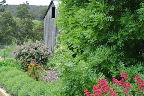 Hamlet Downs Country Accommodation - New Castle Holiday 19