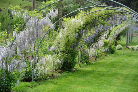 Hamlet Downs Country Accommodation - New Castle Holiday 17