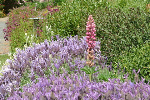 Hamlet Downs Country Accommodation - New Castle Holiday 22