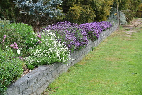 Hamlet Downs Country Accommodation - New Castle Holiday 14