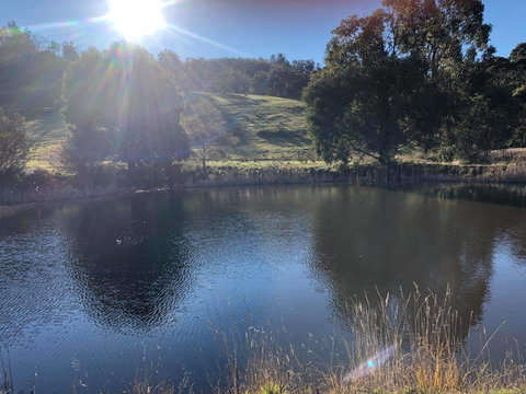 Hamlet Downs Country Accommodation - New Castle Holiday 8