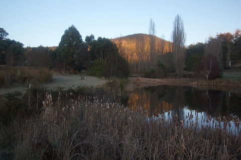 Hamlet Downs Country Accommodation - New Castle Holiday 25