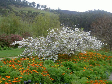 Hamlet Downs Country Accommodation - New Castle Holiday 13