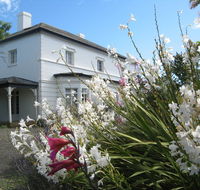 The Grove Cottages - New Castle Holiday