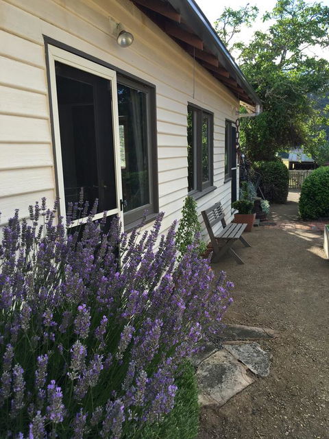 Walnut Cottage - New Castle Holiday 0