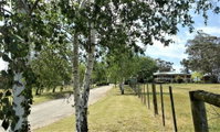 Book Nicholson Accommodation Vacations New Castle Holiday New Castle Holiday