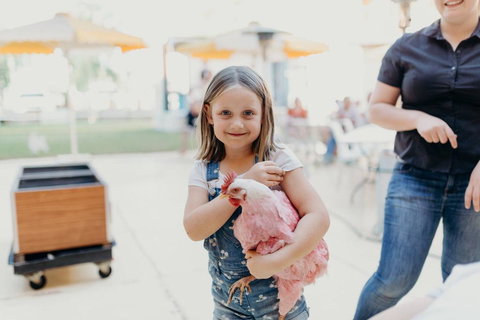 North Gregory Hotel - New Castle Holiday 2