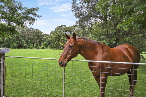 NUNGAROO COTTAGE - New Castle Holiday 3