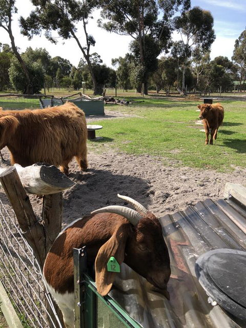 Nutcrackers Lodge - New Castle Holiday 2