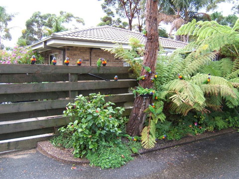 Ocean Drive Apartments - New Castle Holiday 3