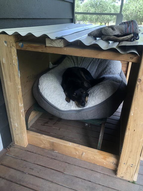 Olivi - New Castle Holiday 3