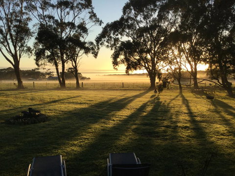 Olivi - New Castle Holiday 0