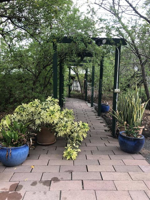 On Kariboe - New Castle Holiday 2