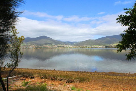 Otago Cottage - New Castle Holiday 2