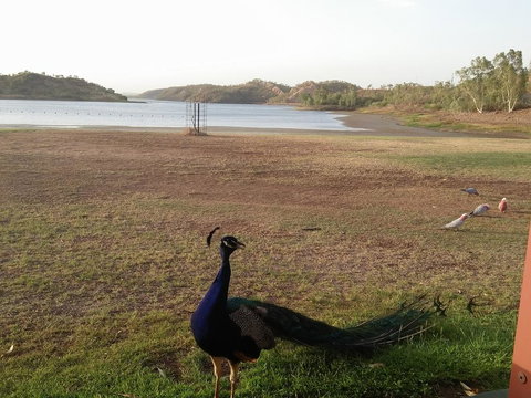 Overlander Hotel - New Castle Holiday 2