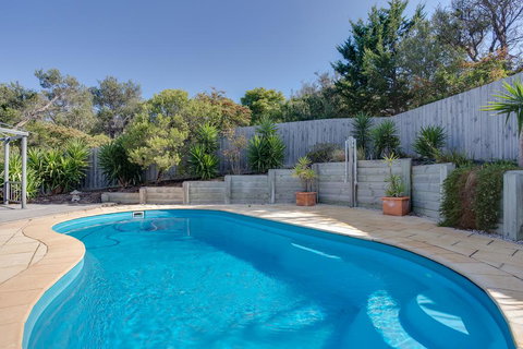 Paws Up Poolside - New Castle Holiday 1