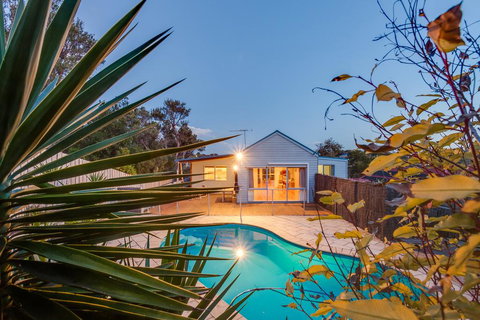 Paws Up Poolside - New Castle Holiday 3