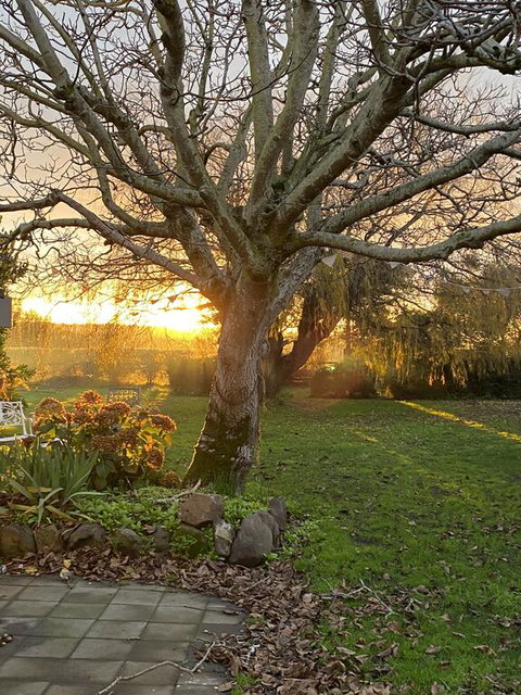 Peg Cottage - New Castle Holiday 0