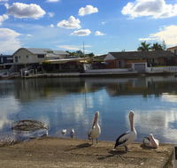Pelican Cove Apartments - New Castle Holiday