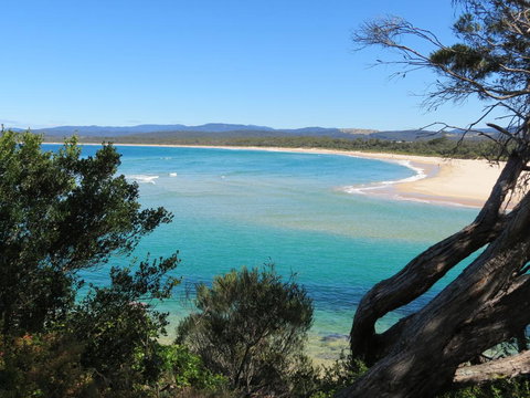 Penguin Mews - New Castle Holiday 2