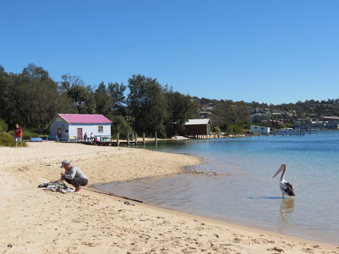 Penguin Mews - New Castle Holiday 1